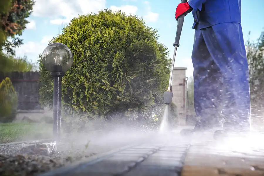 Expert Pressure Washing Services